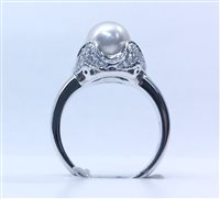 Thiene - Corso Garibaldi , 137 - Anello Salvini Donna in Oro bianco Perla N74068Q-15 - N74068Q-15